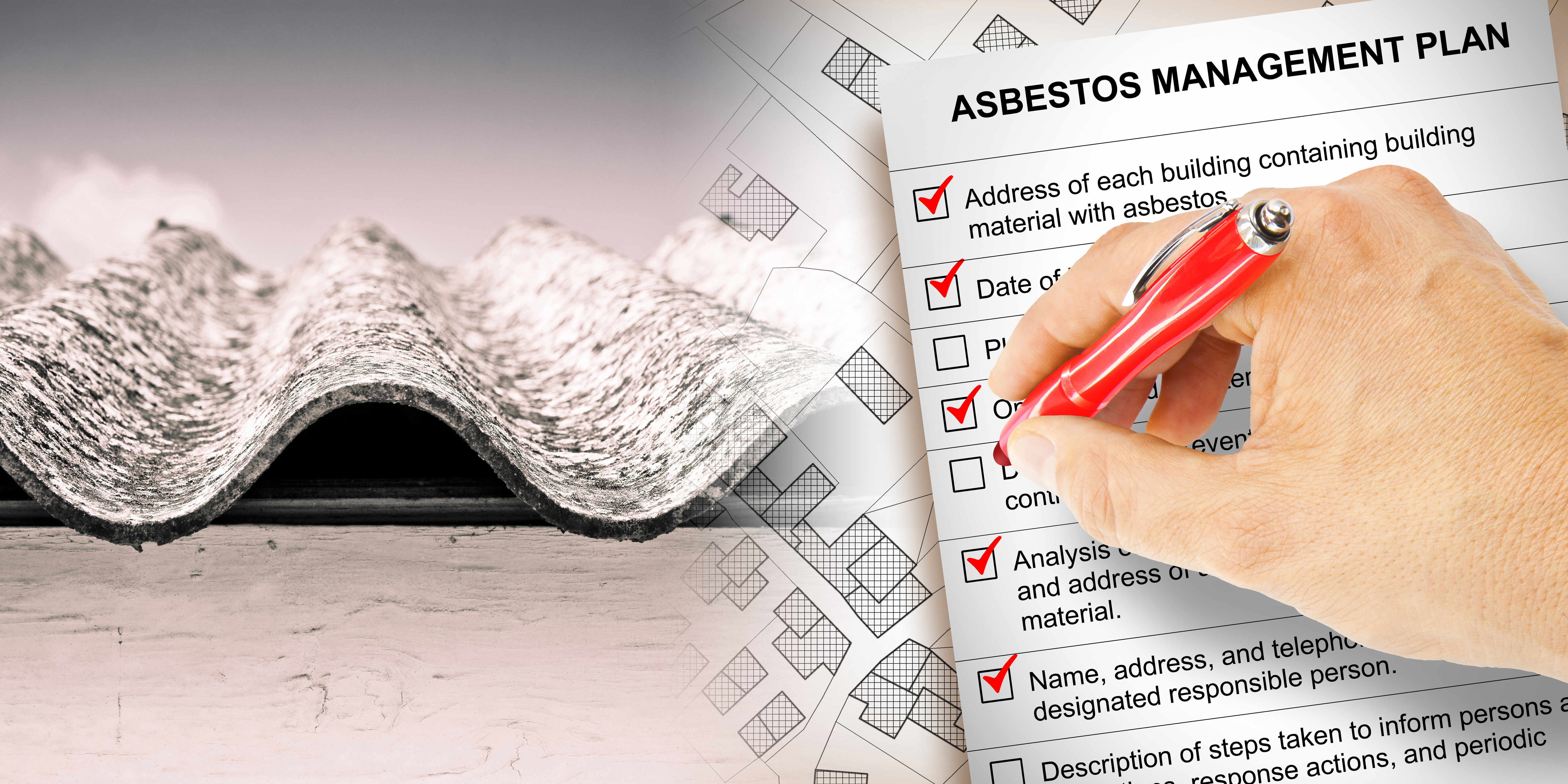 An informative graphic explaining the components of an asbestos management plan for safety and compliance.
